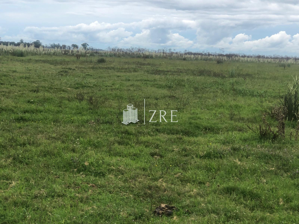 Campo Ref.734 - Venta campo agricola ganadero, Lascano Rocha 