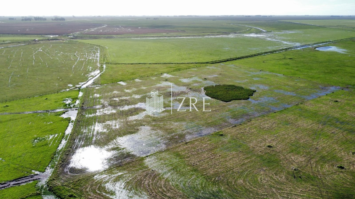 Campo Ref.734 - Venta campo agricola ganadero, Lascano Rocha 