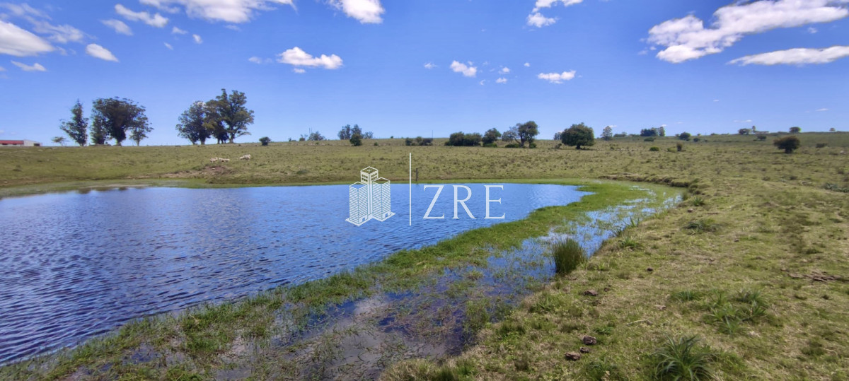 Campo Ref.108 - Venta 47has con casa, costa de arroyo y 5 tajamares