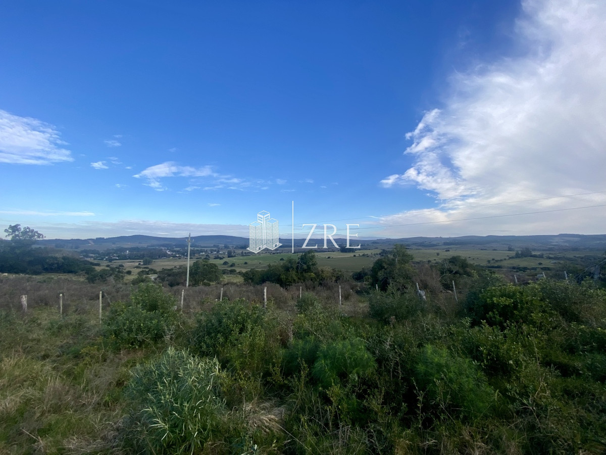 Campo Ref.739 - Venta campo 261 hectareas. Ruta 12 Maldonado. 