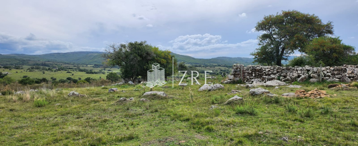 Campo Ref.108 - Venta 47has con casa, costa de arroyo y 5 tajamares
