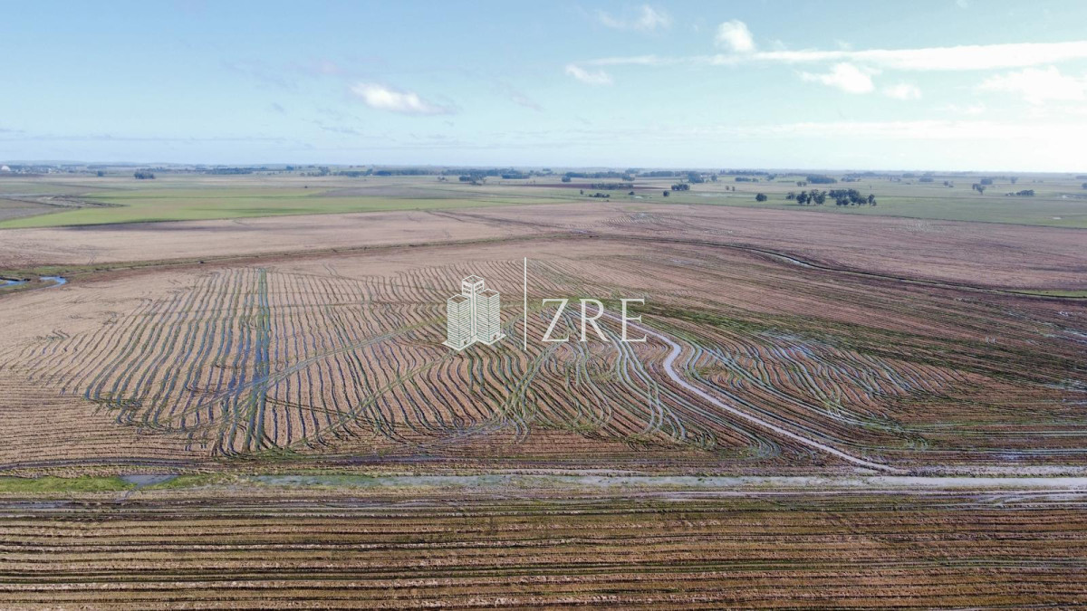 Campo Ref.734 - Venta campo agricola ganadero, Lascano Rocha 