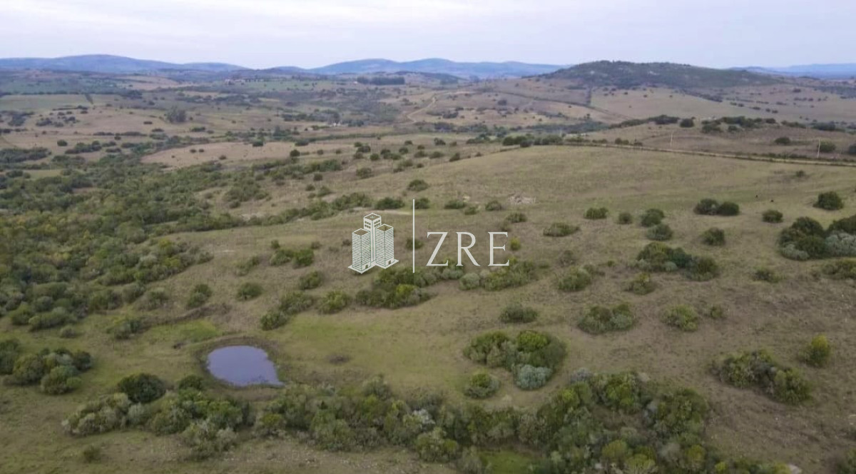 Campo Ref.91 - Venta chacra 36has Pueblo Eden