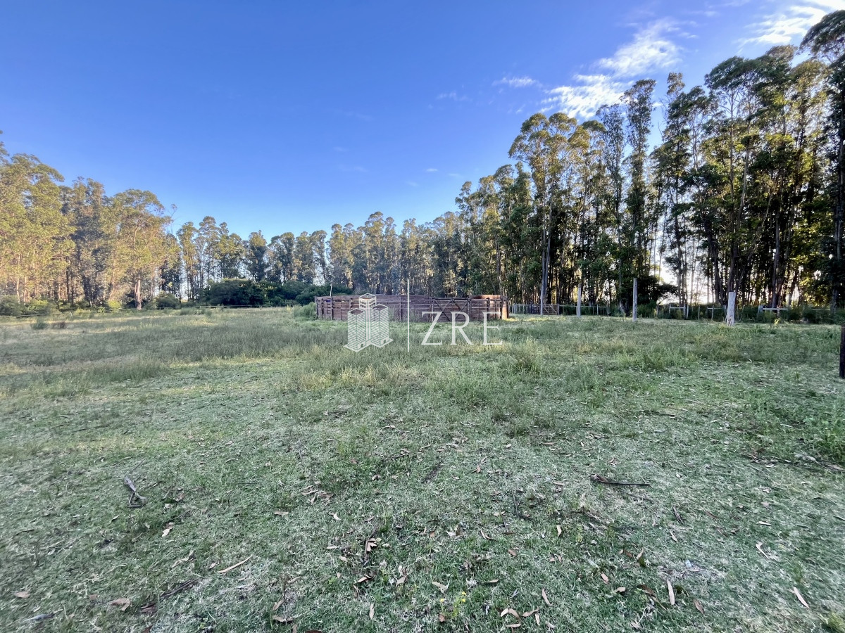 Campo Ref.780 - Venta campo 133 hectáreas. 