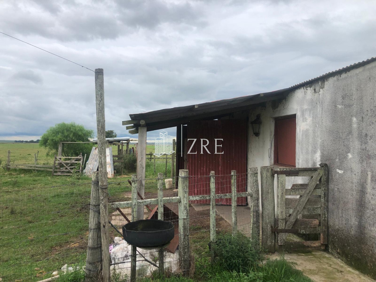 Campo Ref.734 - Venta campo agricola ganadero, Lascano Rocha 
