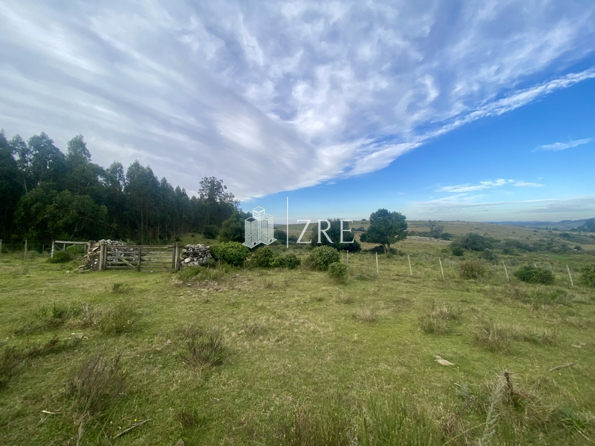 Campo Ref.739 - Venta campo 261 hectareas. Ruta 12 Maldonado. 