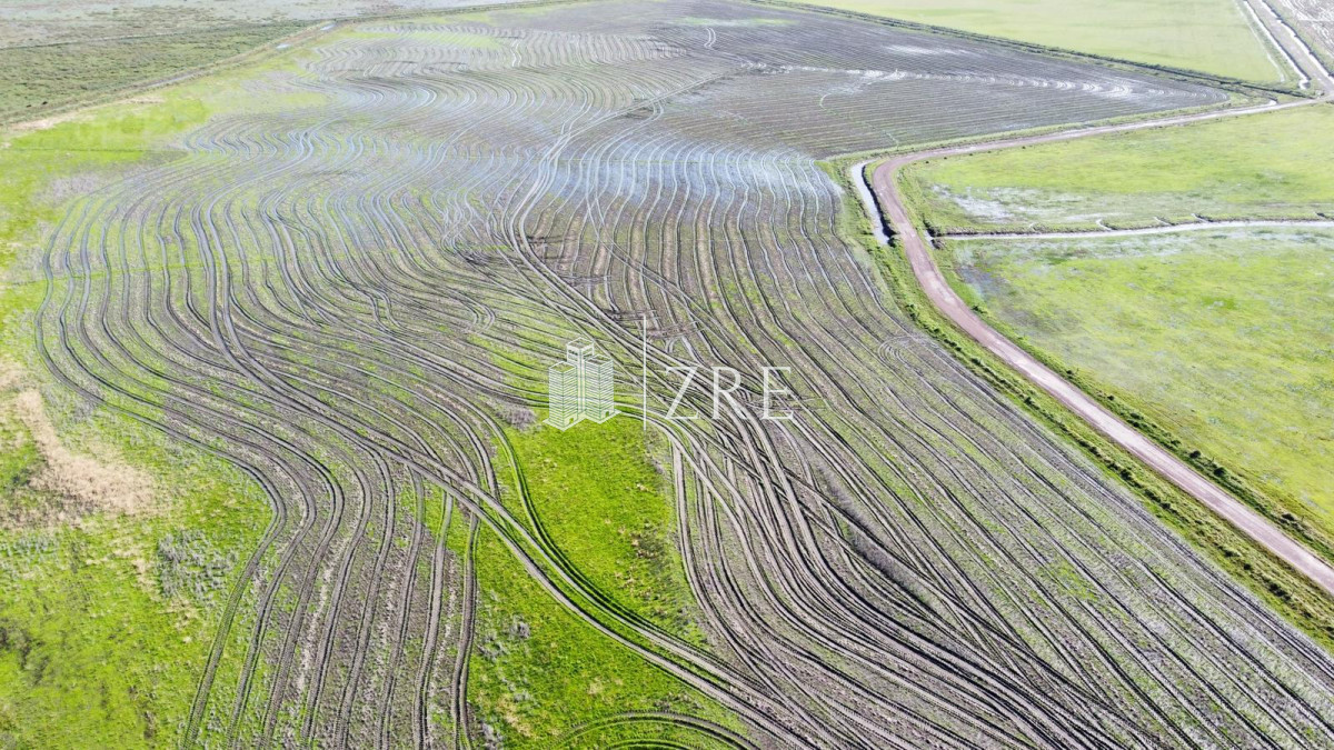 Campo Ref.734 - Venta campo agricola ganadero, Lascano Rocha 