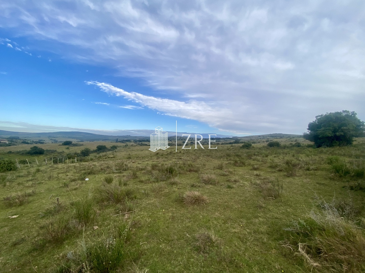 Campo Ref.739 - Venta campo 261 hectareas. Ruta 12 Maldonado. 