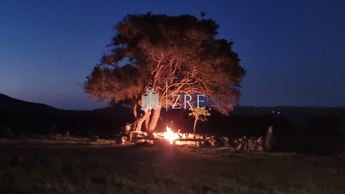 Campo Ref.108 - Venta 47has con casa, costa de arroyo y 5 tajamares