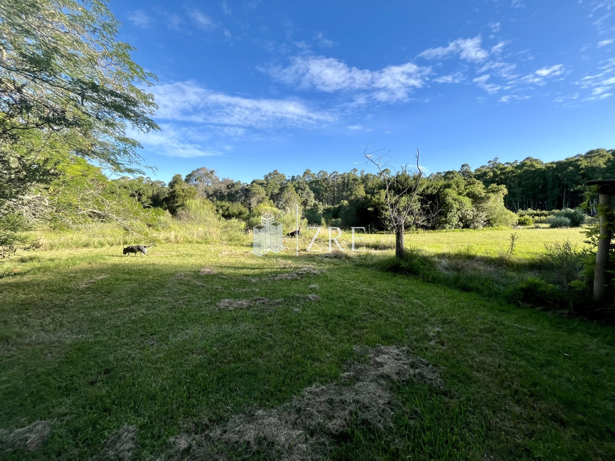 Campo Ref.780 - Venta campo 133 hectáreas. 