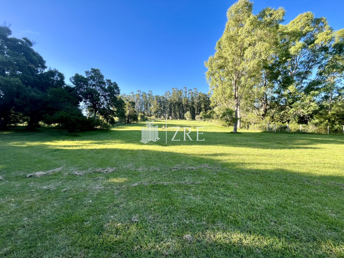 Campo Ref.780 - Venta campo 133 hectáreas. 