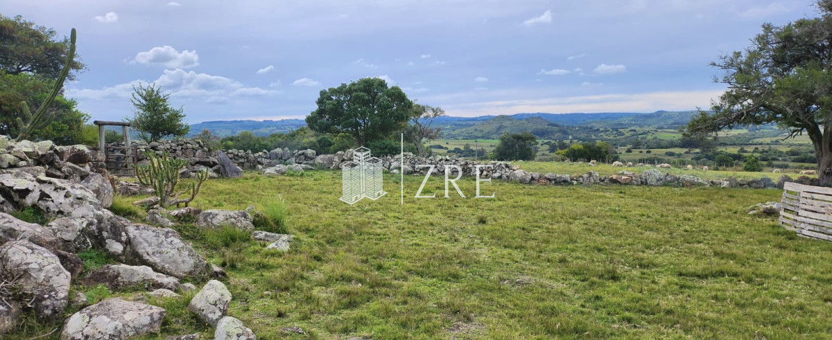 Campo Ref.108 - Venta 47has con casa, costa de arroyo y 5 tajamares