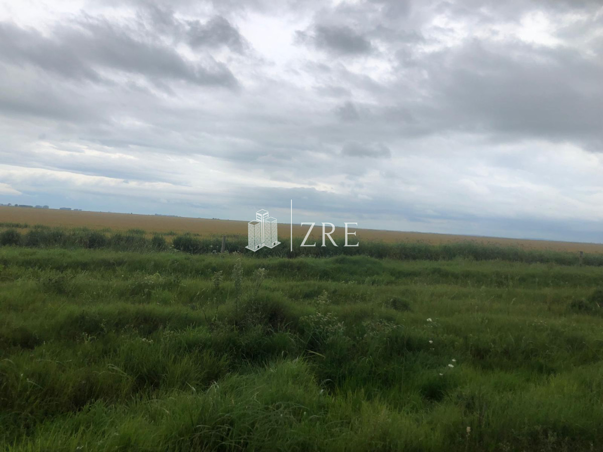 Campo Ref.734 - Venta campo agricola ganadero, Lascano Rocha 