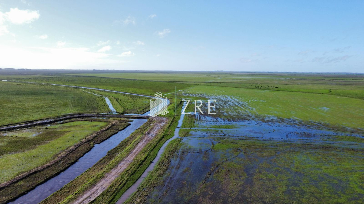 Campo Ref.734 - Venta campo agricola ganadero, Lascano Rocha 
