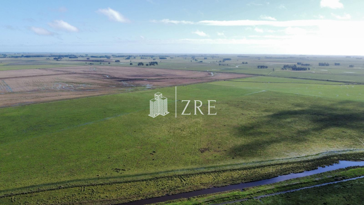 Campo Ref.734 - Venta campo agricola ganadero, Lascano Rocha 