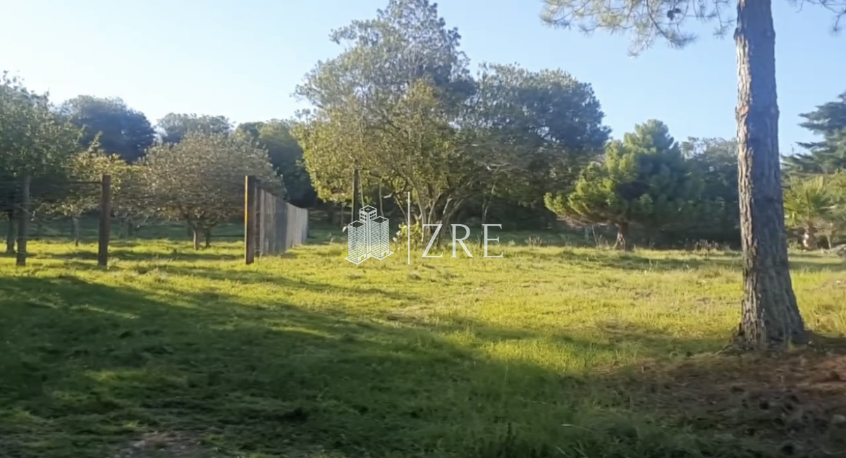 Campo Ref.47 - Venta campo 
