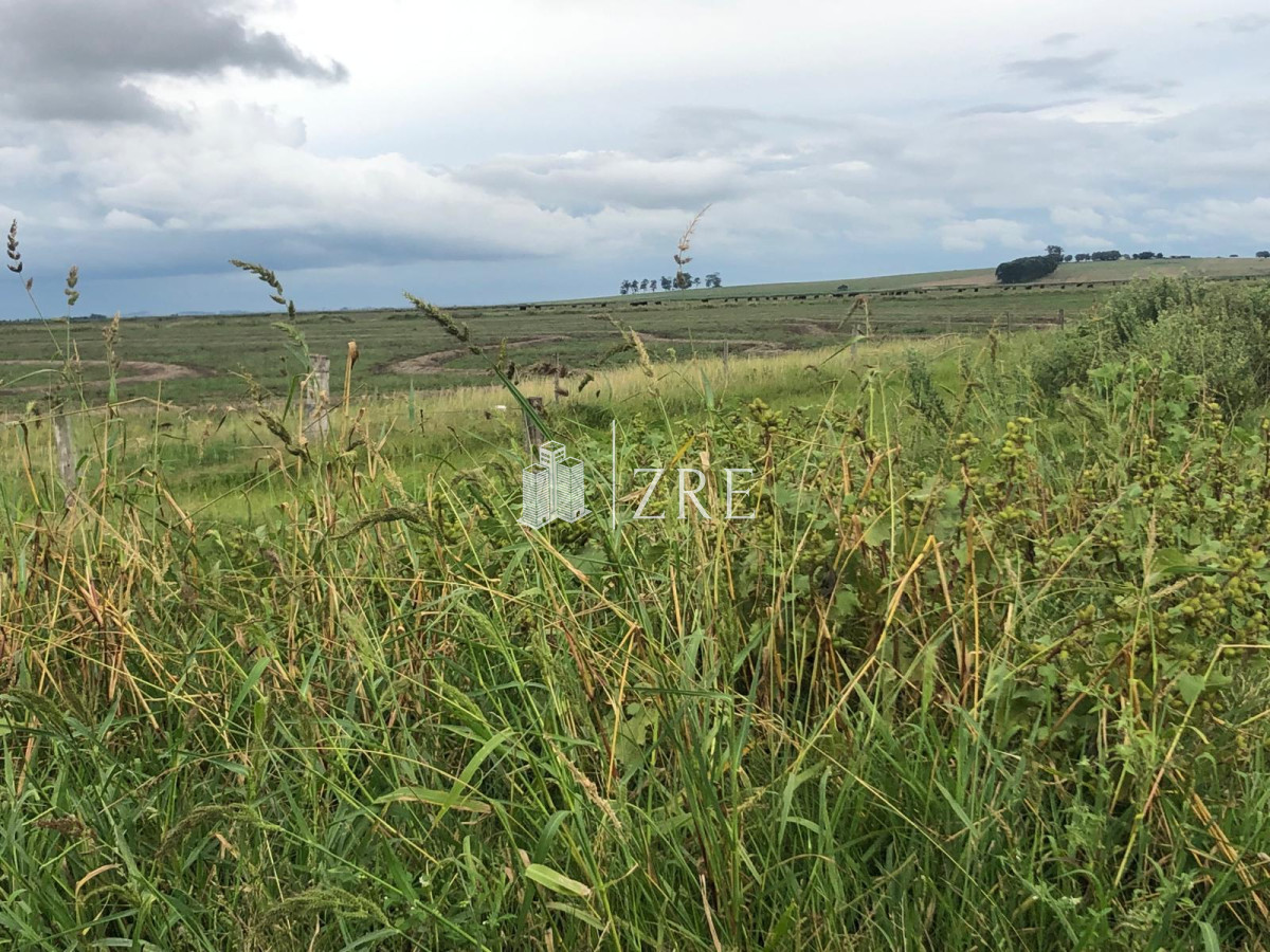 Campo Ref.734 - Venta campo agricola ganadero, Lascano Rocha 