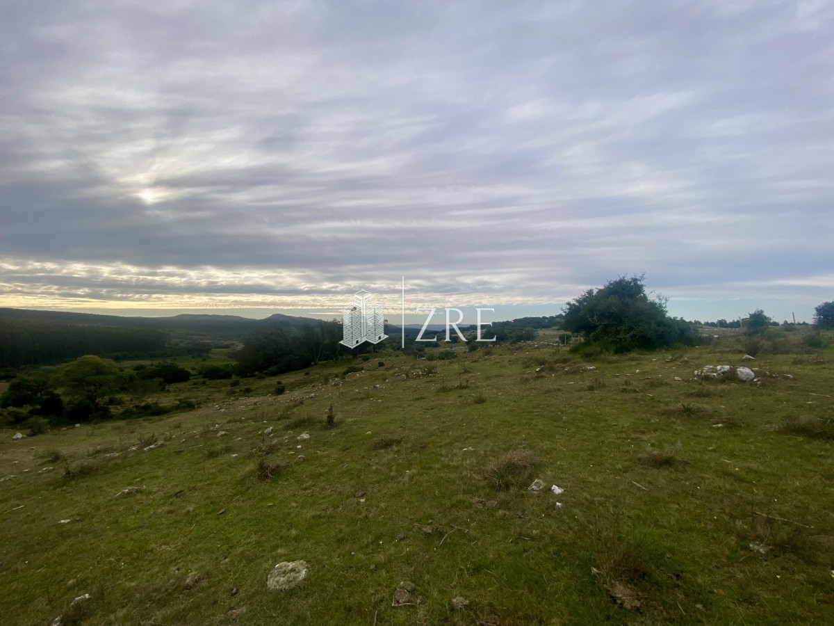 Campo Ref.739 - Venta campo 261 hectareas. Ruta 12 Maldonado. 