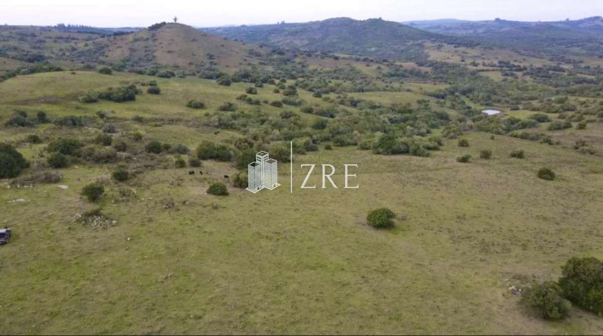 Campo Ref.91 - Venta chacra 36has Pueblo Eden