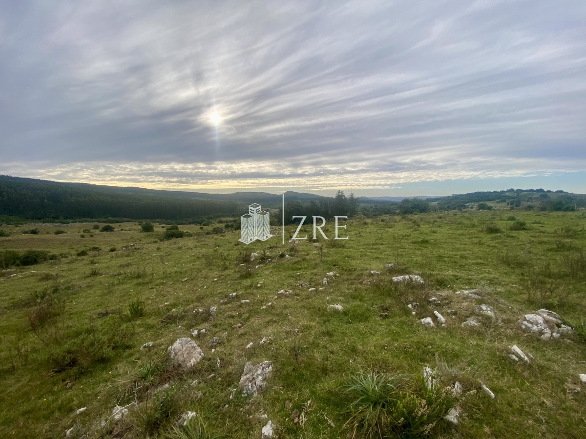 Campo Ref.739 - Venta campo 261 hectareas. Ruta 12 Maldonado. 