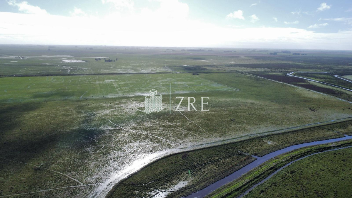 Campo Ref.734 - Venta campo agricola ganadero, Lascano Rocha 