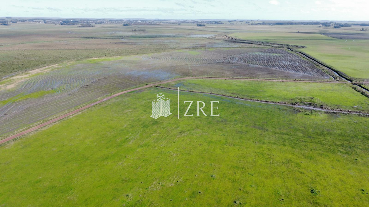 Campo Ref.734 - Venta campo agricola ganadero, Lascano Rocha 