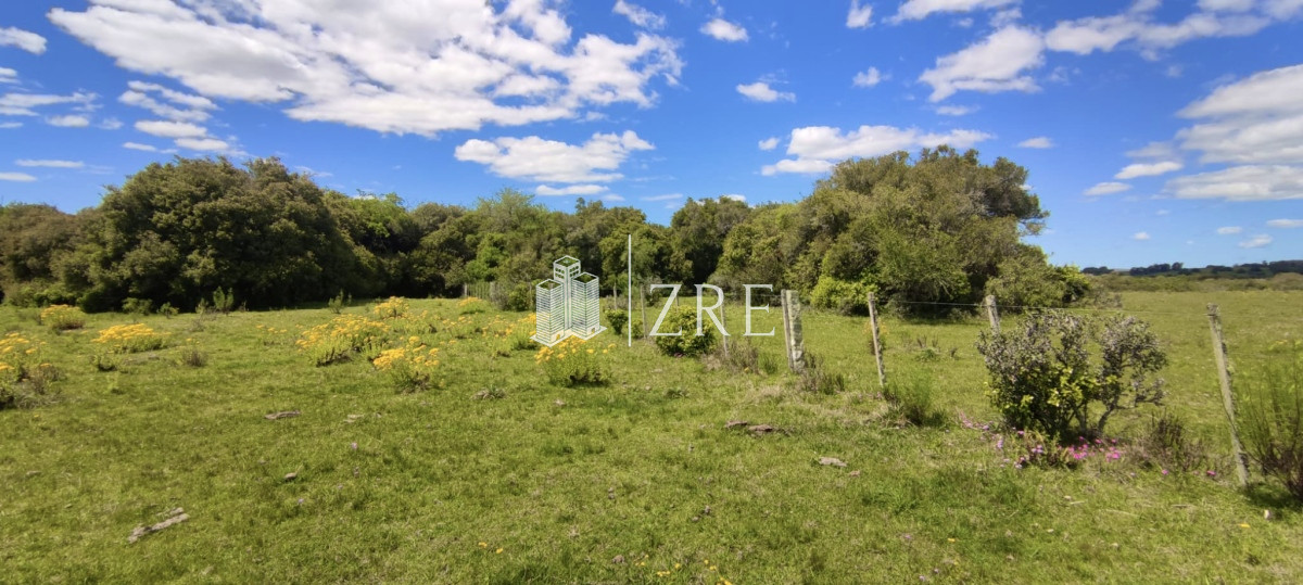 Campo Ref.108 - Venta 47has con casa, costa de arroyo y 5 tajamares