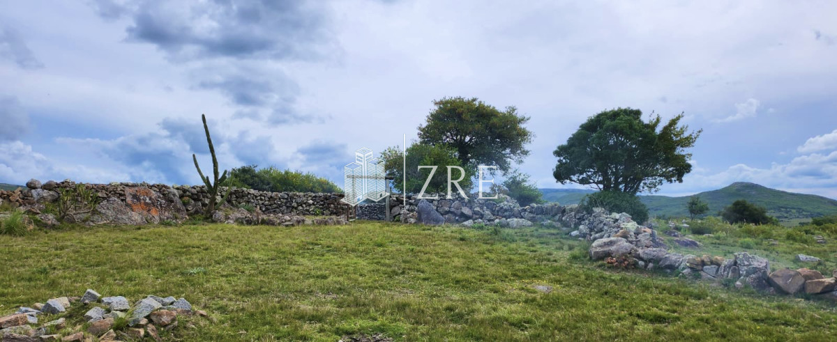 Campo Ref.108 - Venta 47has con casa, costa de arroyo y 5 tajamares