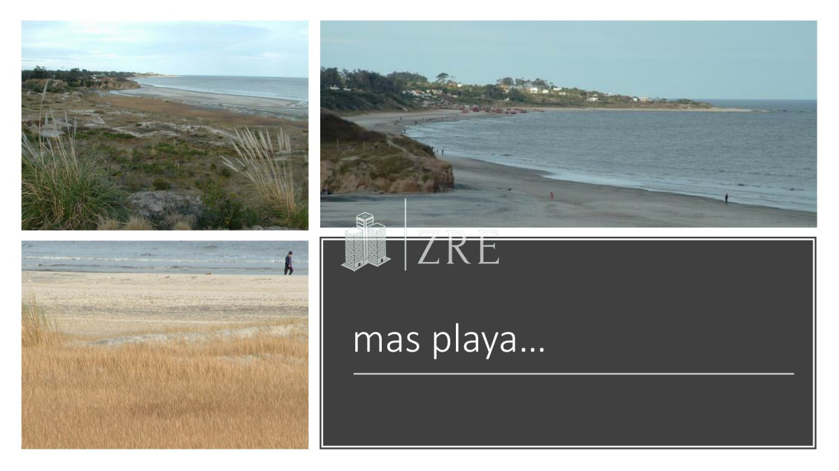 Campo Ref.254 - Venta campo 117 hectáreas sobre río de la plata  