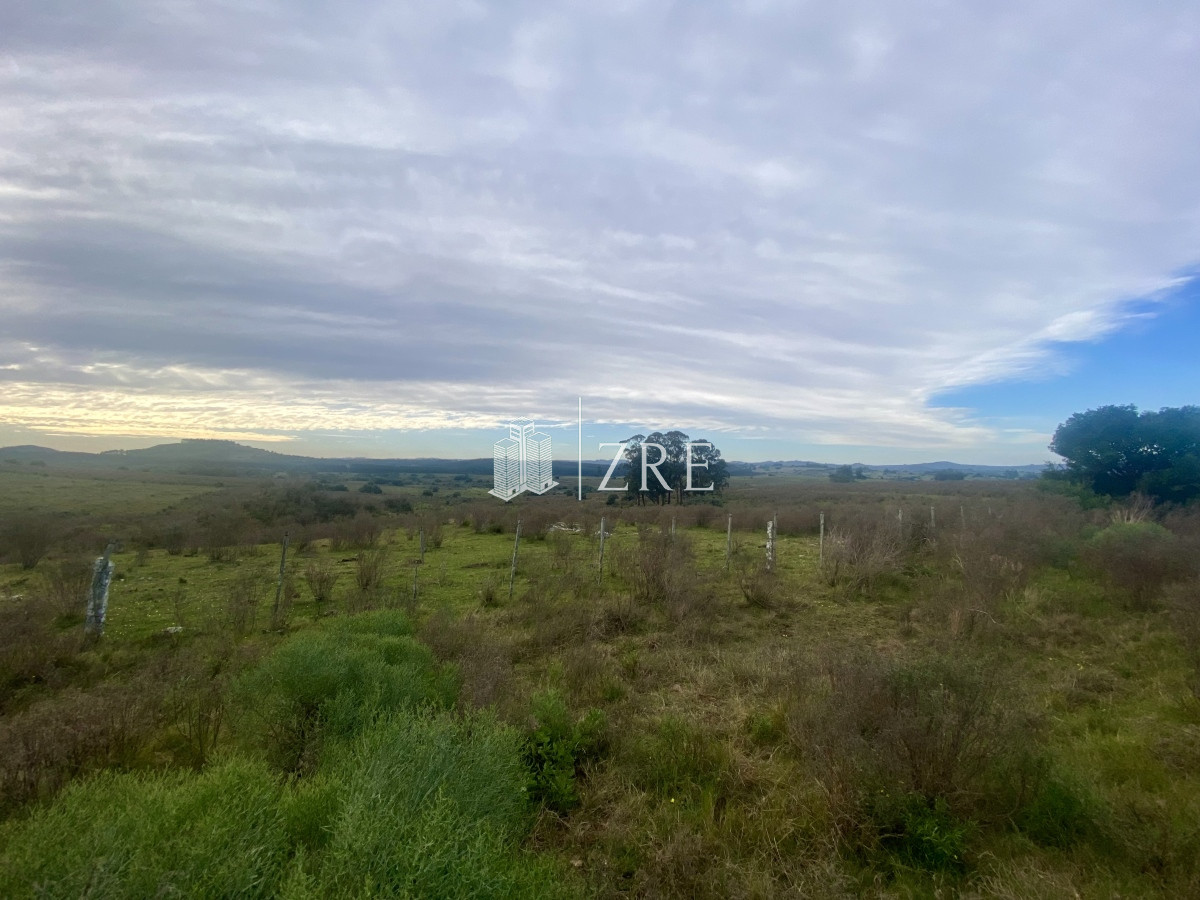Campo Ref.739 - Venta campo 261 hectareas. Ruta 12 Maldonado. 