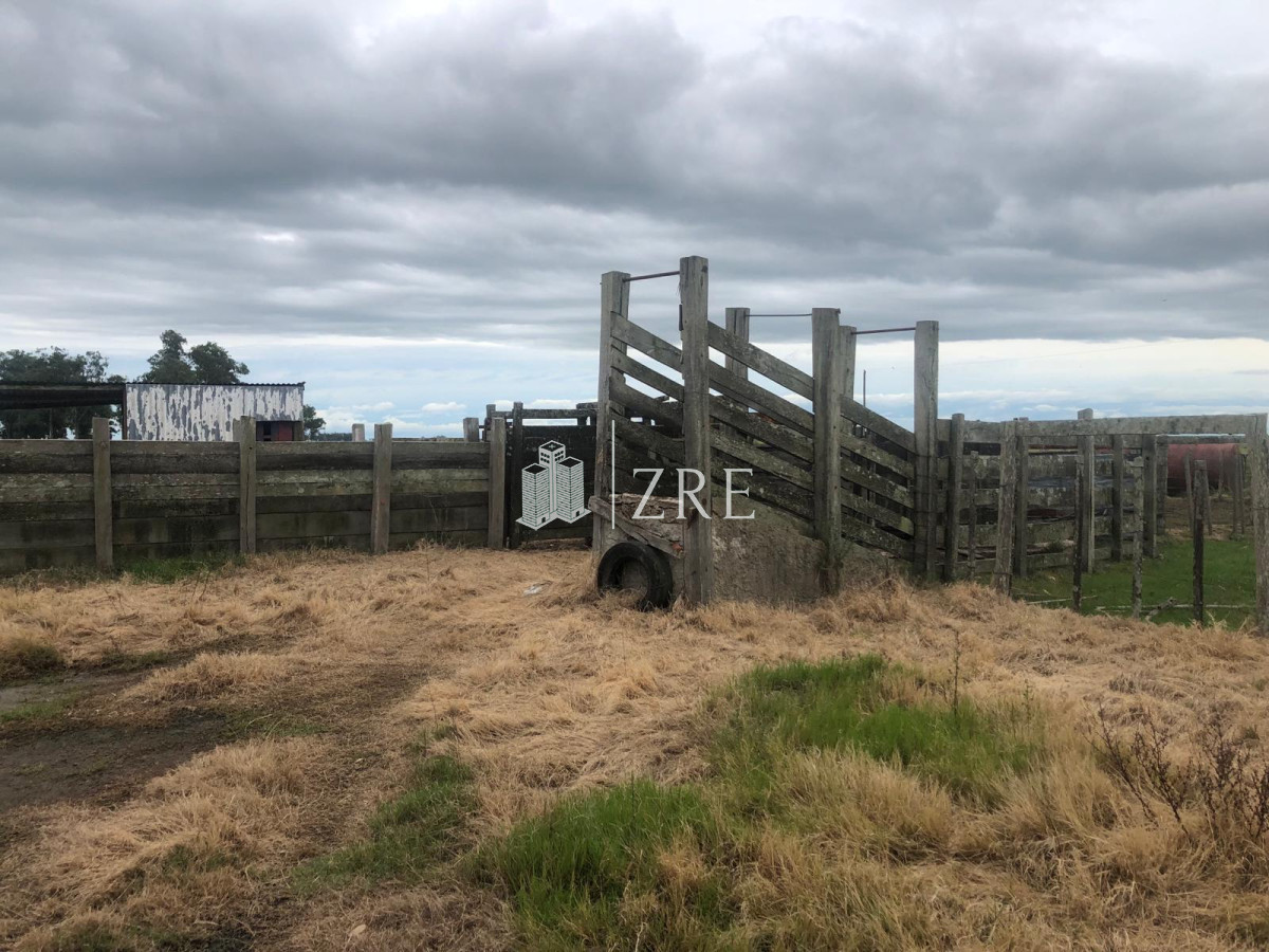 Campo Ref.734 - Venta campo agricola ganadero, Lascano Rocha 