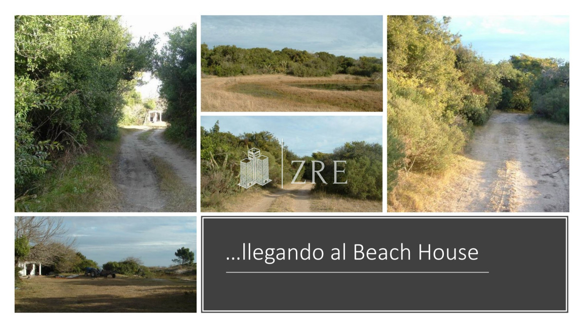 Campo Ref.254 - Venta campo 117 hectáreas sobre río de la plata  