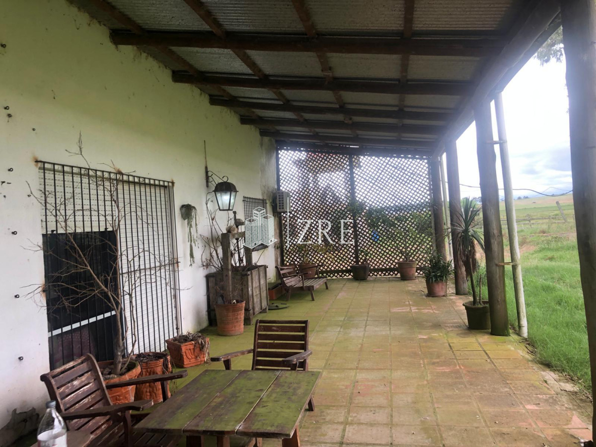Campo Ref.734 - Venta campo agricola ganadero, Lascano Rocha 