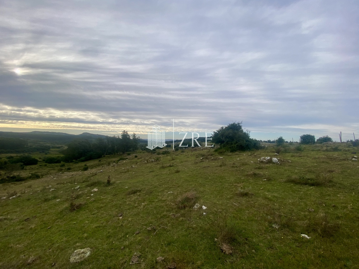 Campo Ref.739 - Venta campo 261 hectareas. Ruta 12 Maldonado. 