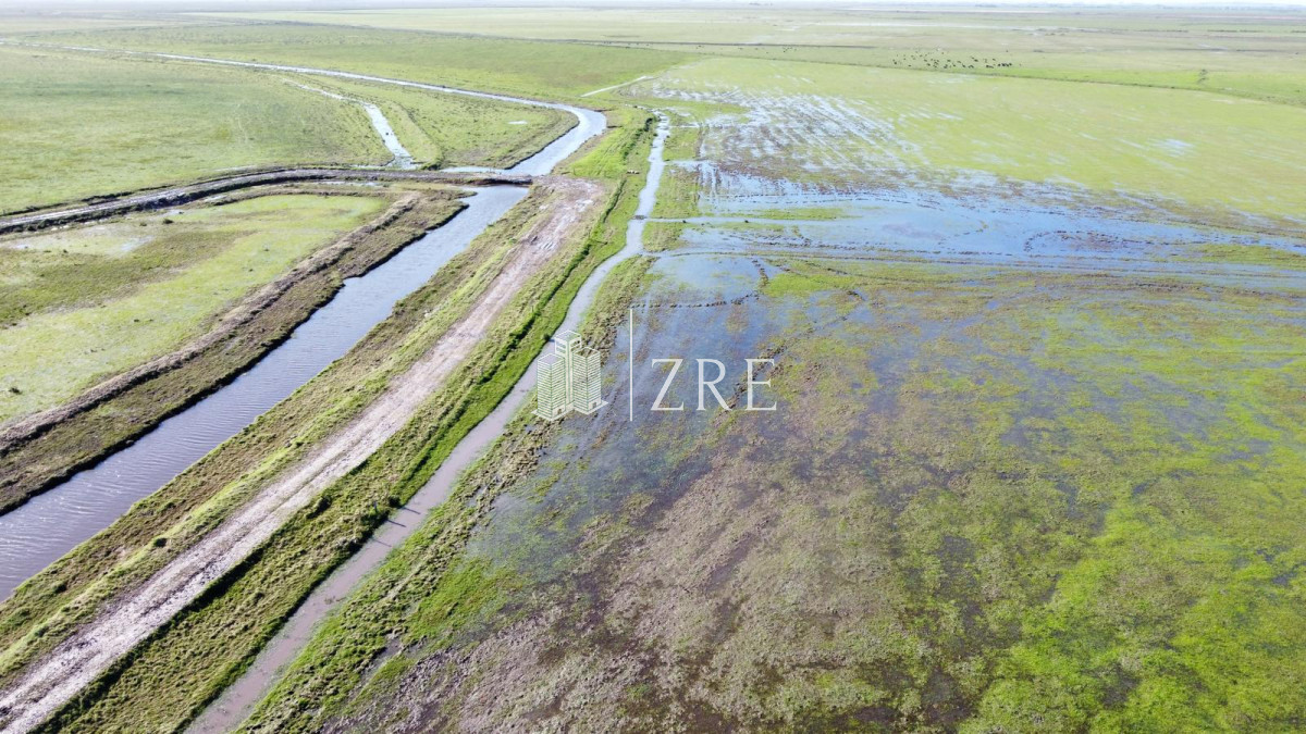 Campo Ref.734 - Venta campo agricola ganadero, Lascano Rocha 