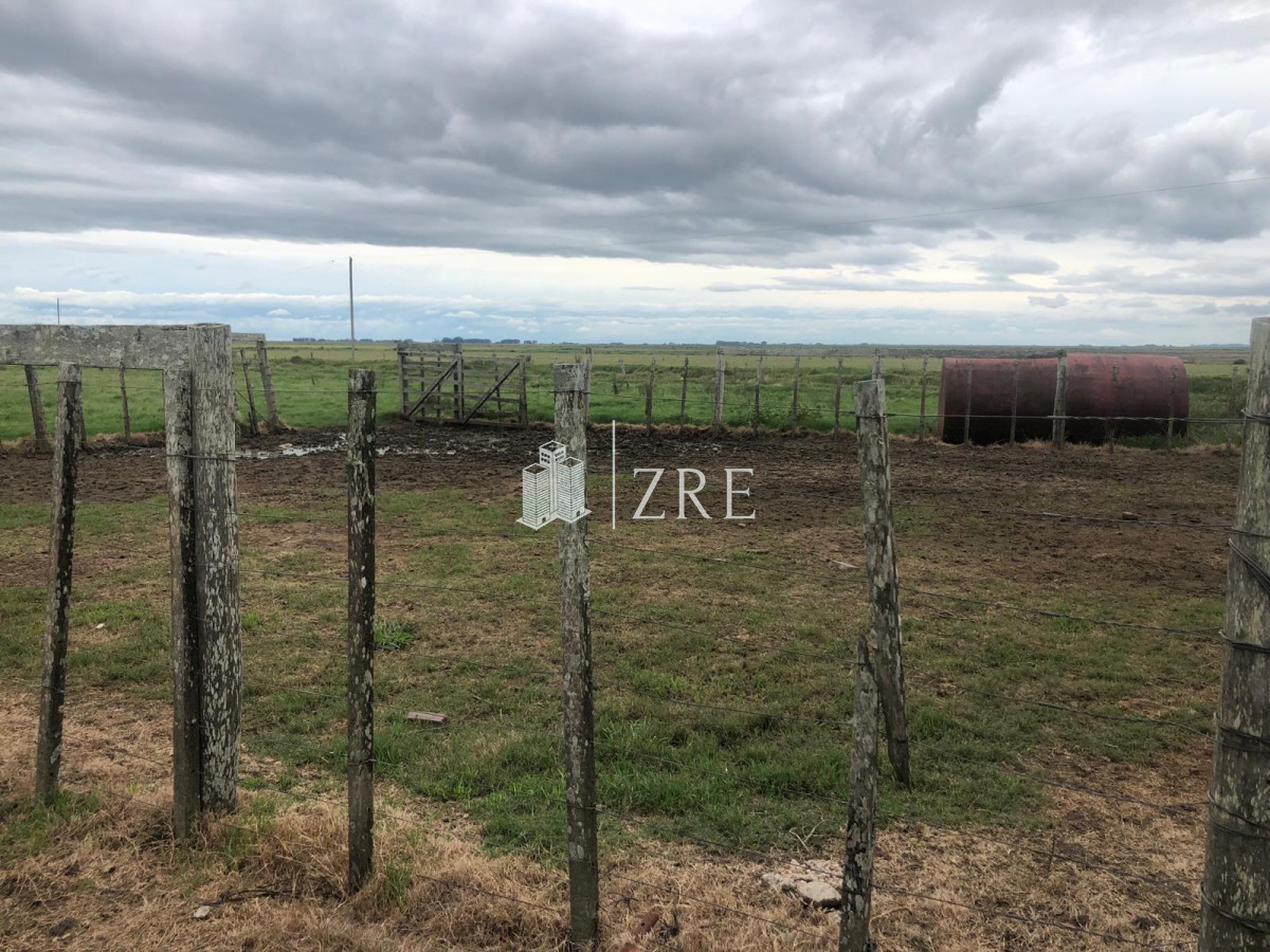 Campo Ref.734 - Venta campo agricola ganadero, Lascano Rocha 