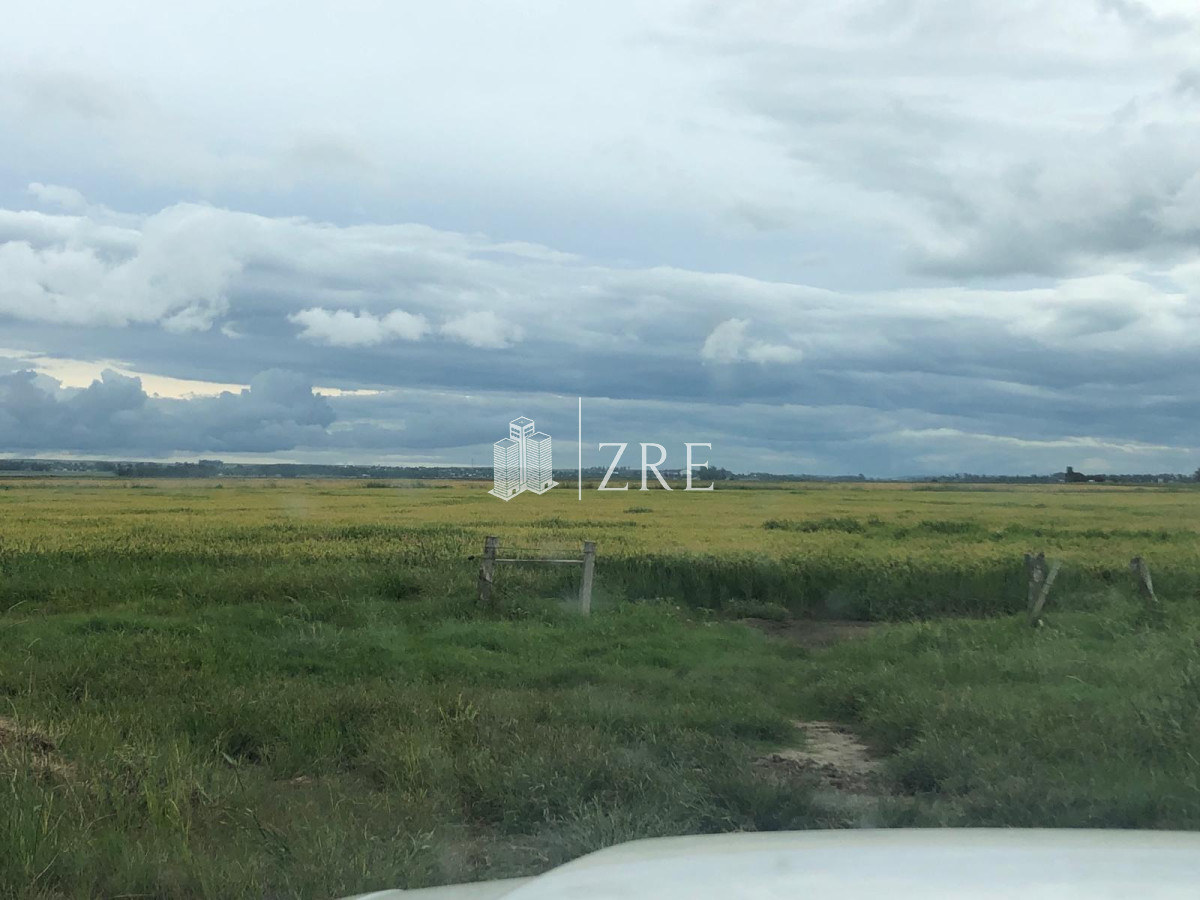 Campo Ref.734 - Venta campo agricola ganadero, Lascano Rocha 