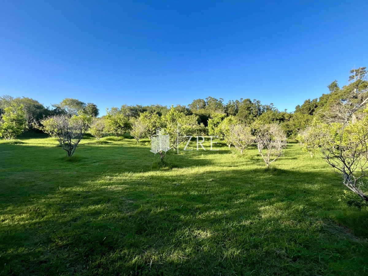 Campo Ref.780 - Venta campo 133 hectáreas. 