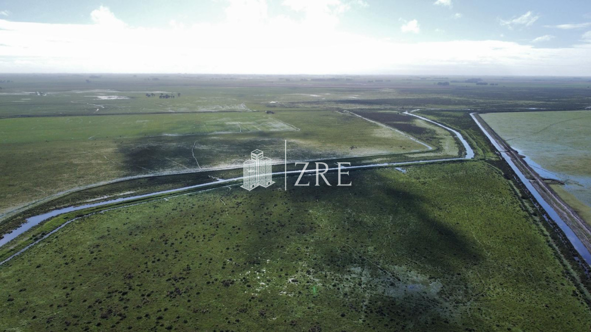 Campo Ref.734 - Venta campo agricola ganadero, Lascano Rocha 