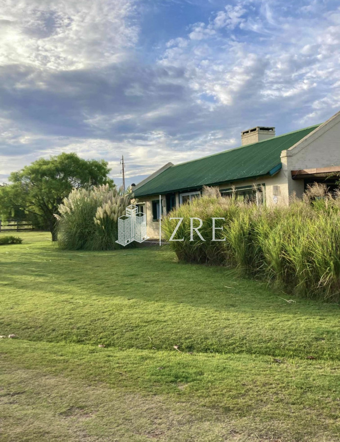 Campo Ref.43 - Chacra Venta