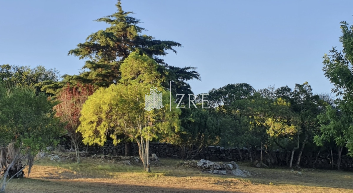 Campo Ref.47 - Venta campo 