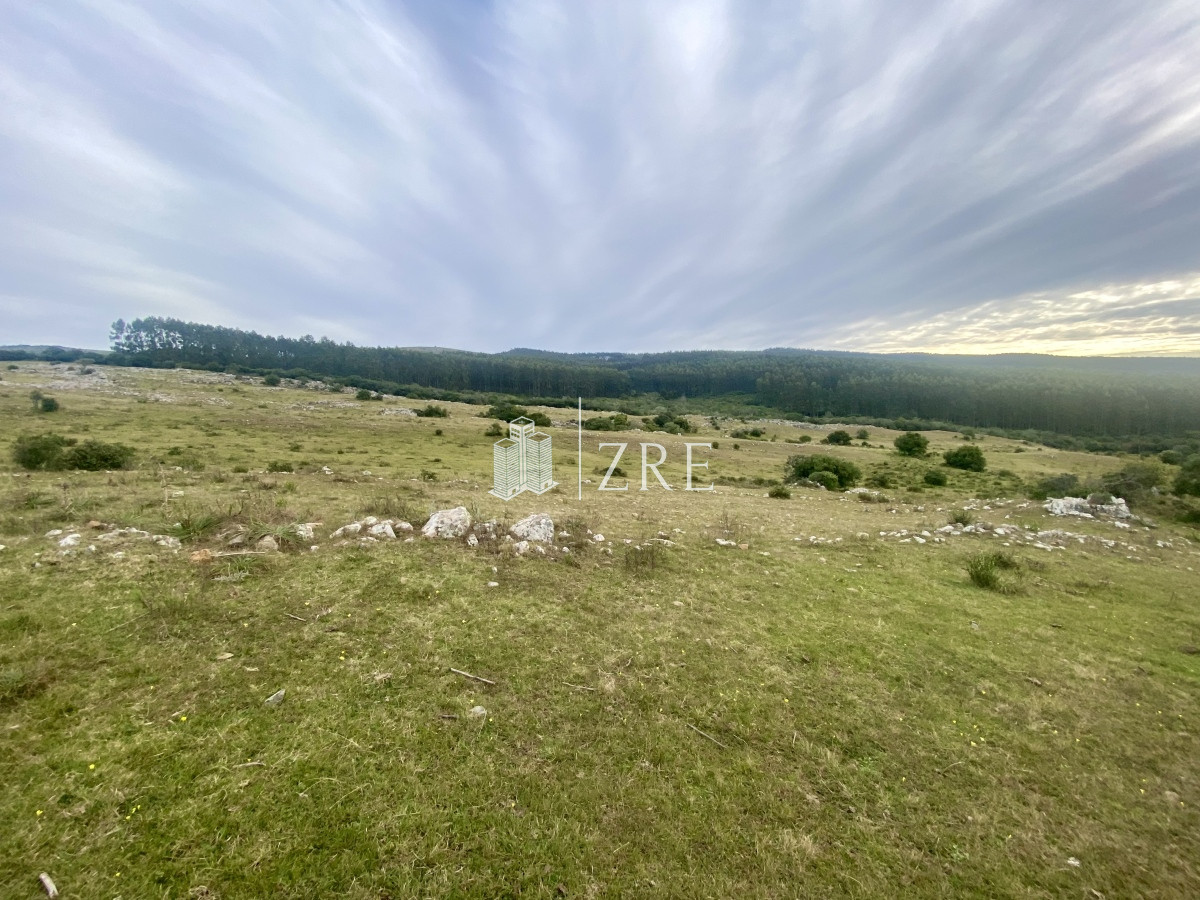 Campo Ref.739 - Venta campo 261 hectareas. Ruta 12 Maldonado. 