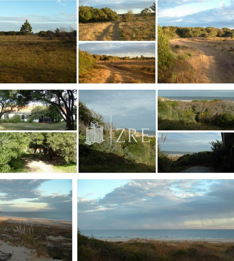 Campo Ref.254 - Venta campo 117 hectáreas sobre río de la plata  