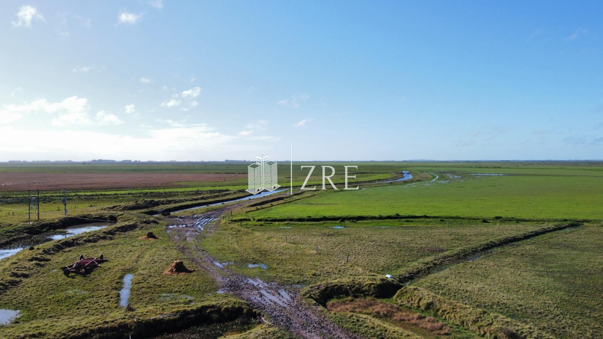 Campo Ref.734 - Venta campo agricola ganadero, Lascano Rocha 
