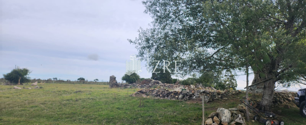 Campo Ref.108 - Venta 47has con casa, costa de arroyo y 5 tajamares