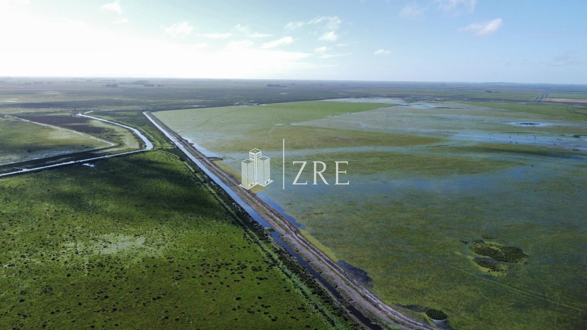Campo Ref.734 - Venta campo agricola ganadero, Lascano Rocha 