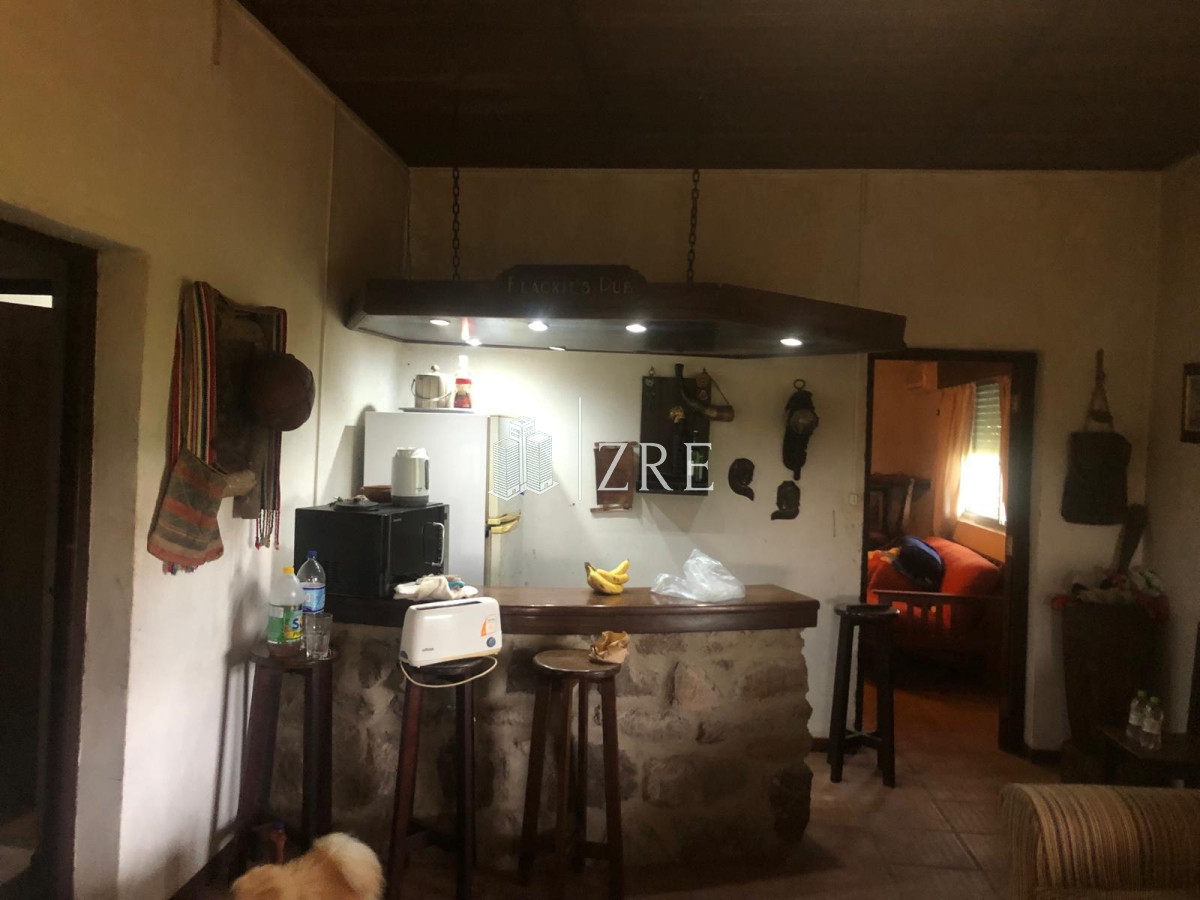 Campo Ref.734 - Venta campo agricola ganadero, Lascano Rocha 