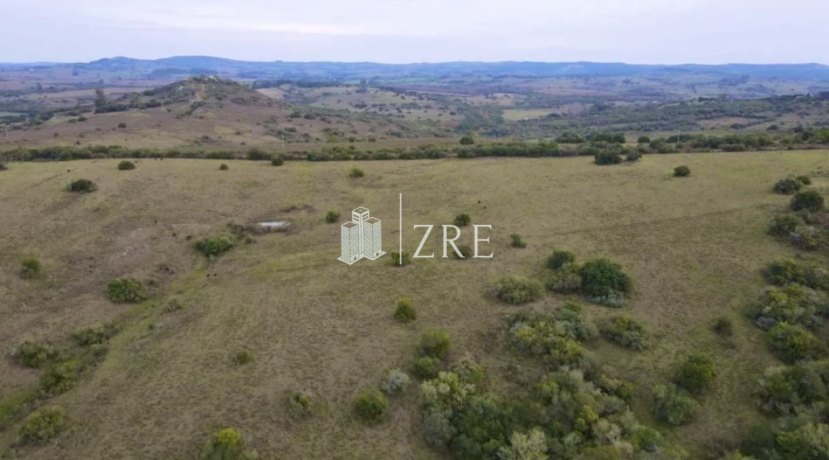 Campo Ref.91 - Venta chacra 36has Pueblo Eden