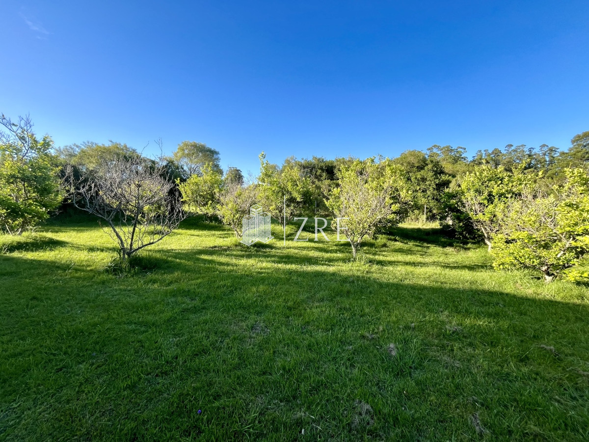 Campo Ref.780 - Venta campo 133 hectáreas. 