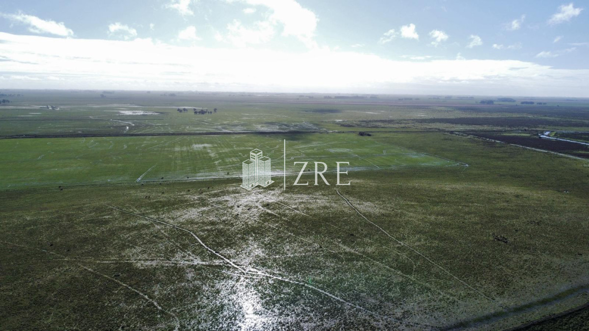 Campo Ref.734 - Venta campo agricola ganadero, Lascano Rocha 